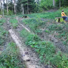 Błotnista ścieżka przecina leśną działkę. Na pniu siedzi osoba w żółtej kurtce, obserwując teren po wycince drzew.
