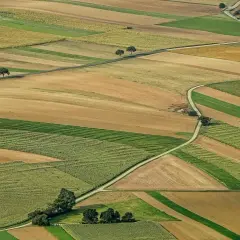 Pola uprawne tworzą mozaikę kolorów. Zastanawiasz się, jak sprzedać działkę? Ta malownicza przestrzeń może być Twoja.