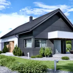 Nowoczesny dom, projekt home koncept 44, z czarną elewacją i białymi detalami, otoczony zielenią i zadbanym ogrodem.
