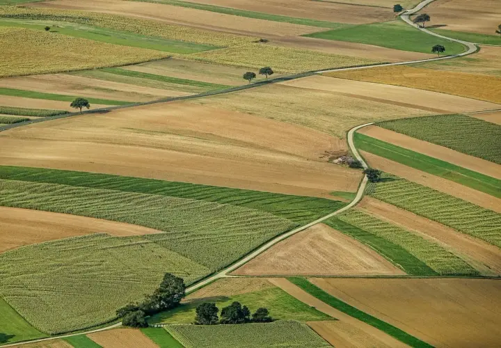 Pola uprawne tworzą mozaikę kolorów. Zastanawiasz się, jak sprzedać działkę? Ta malownicza przestrzeń może być Twoja.
