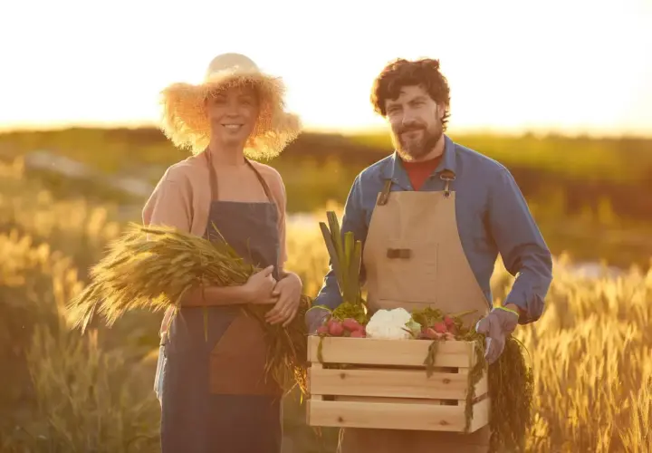 Rolnicy z plonami: zboże, warzywa. To, co rolnik może sprzedać bez podatku, to świeże produkty prosto z pola.