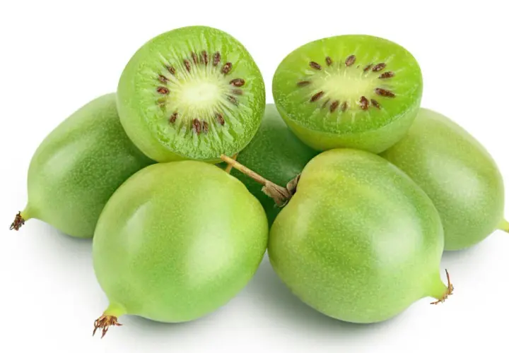 Mini kiwi uprawa: świeże, zielone owoce, jeden przekrojony ukazuje charakterystyczne pestki.