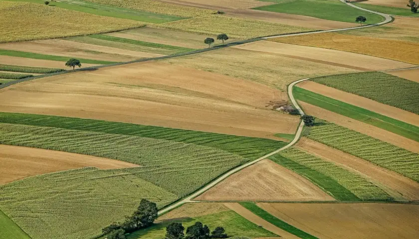 Pola uprawne tworzą mozaikę kolorów. Zastanawiasz się, jak sprzedać działkę? Ta malownicza przestrzeń może być Twoja.