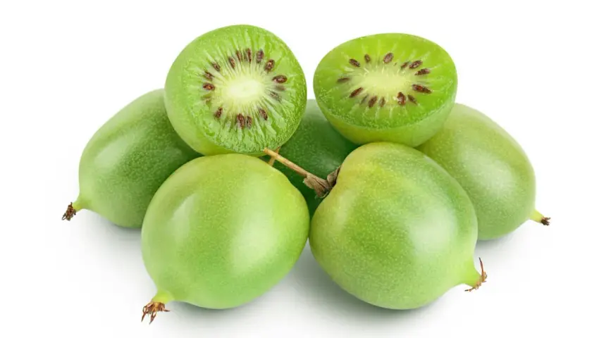 Mini kiwi uprawa: świeże, zielone owoce, jeden przekrojony ukazuje charakterystyczne pestki.