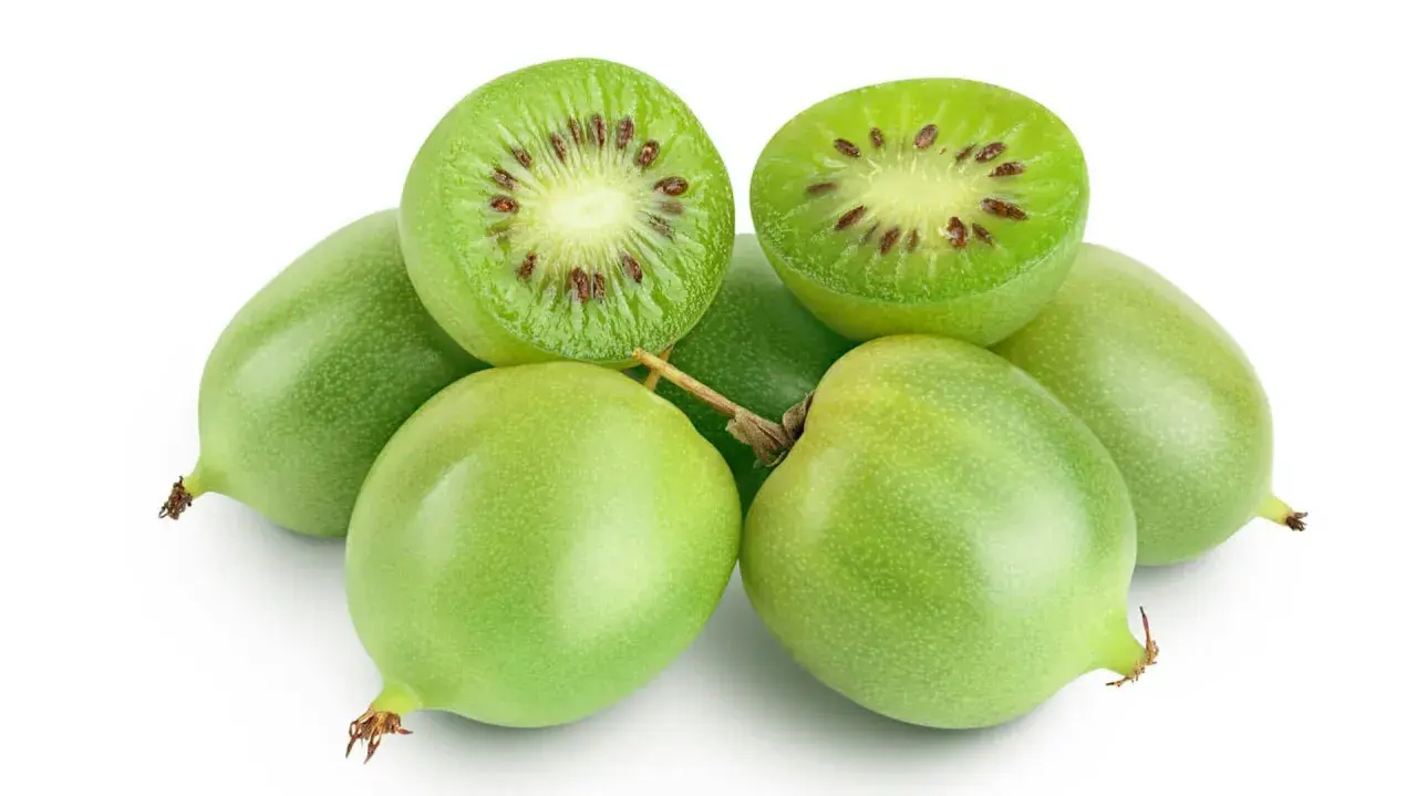 Mini kiwi uprawa: świeże, zielone owoce, jeden przekrojony ukazuje charakterystyczne pestki.