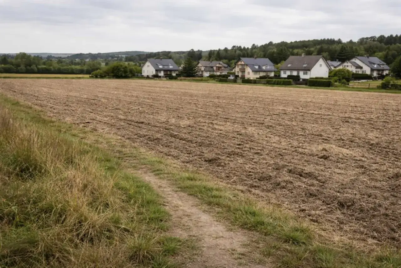 Pole uprawne obok nowych domów. Widać ślady przekształcenia działki rolnej na budowlaną.
