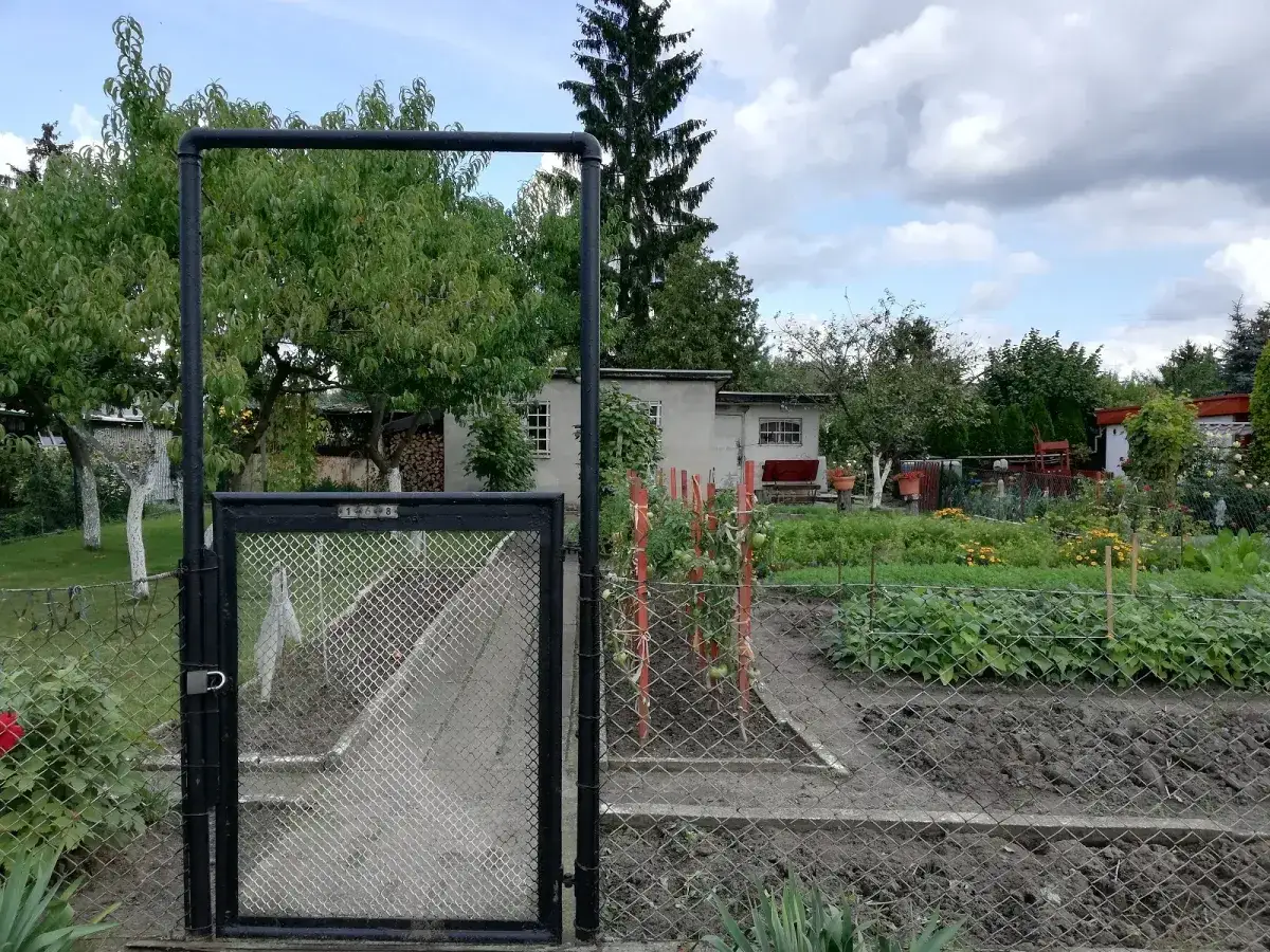 Ogródek działkowy z domkiem, bramką i kwitnącymi warzywami. Może to być miejsce, gdzie planuje się sprzedaż działki i zastanawia nad podatkiem od sprzedaży działki.