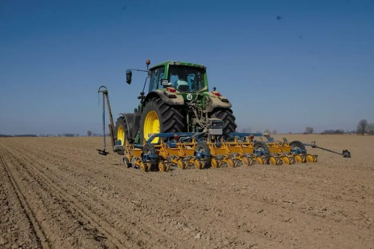 Zielony traktor z żółtymi elementami wykonuje siew buraka cukrowego na pustym polu pod błękitnym niebem.