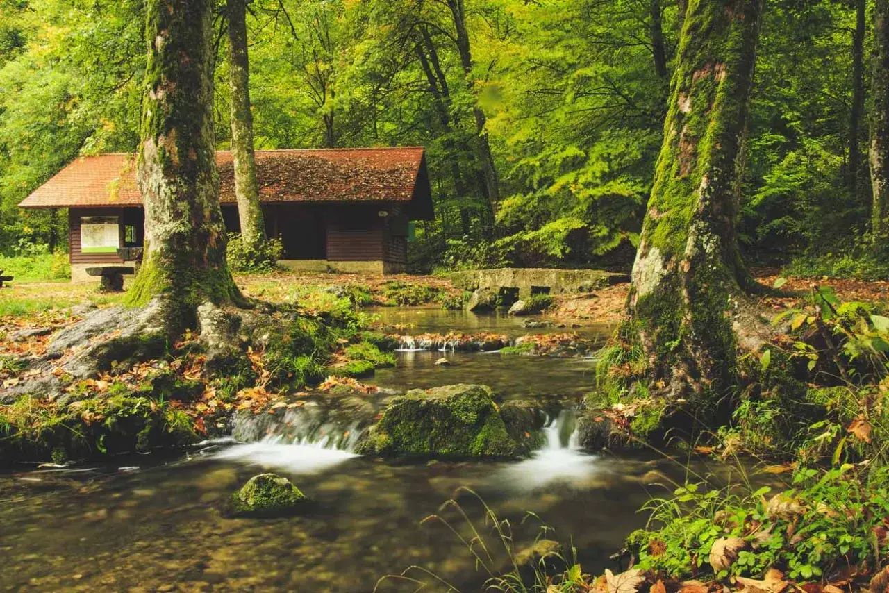 Mały domek z czerwonym dachem, otoczony zielonym lasem, stoi blisko strumienia. Odległość domu od lasu jest niewielka, tworząc sielski krajobraz.